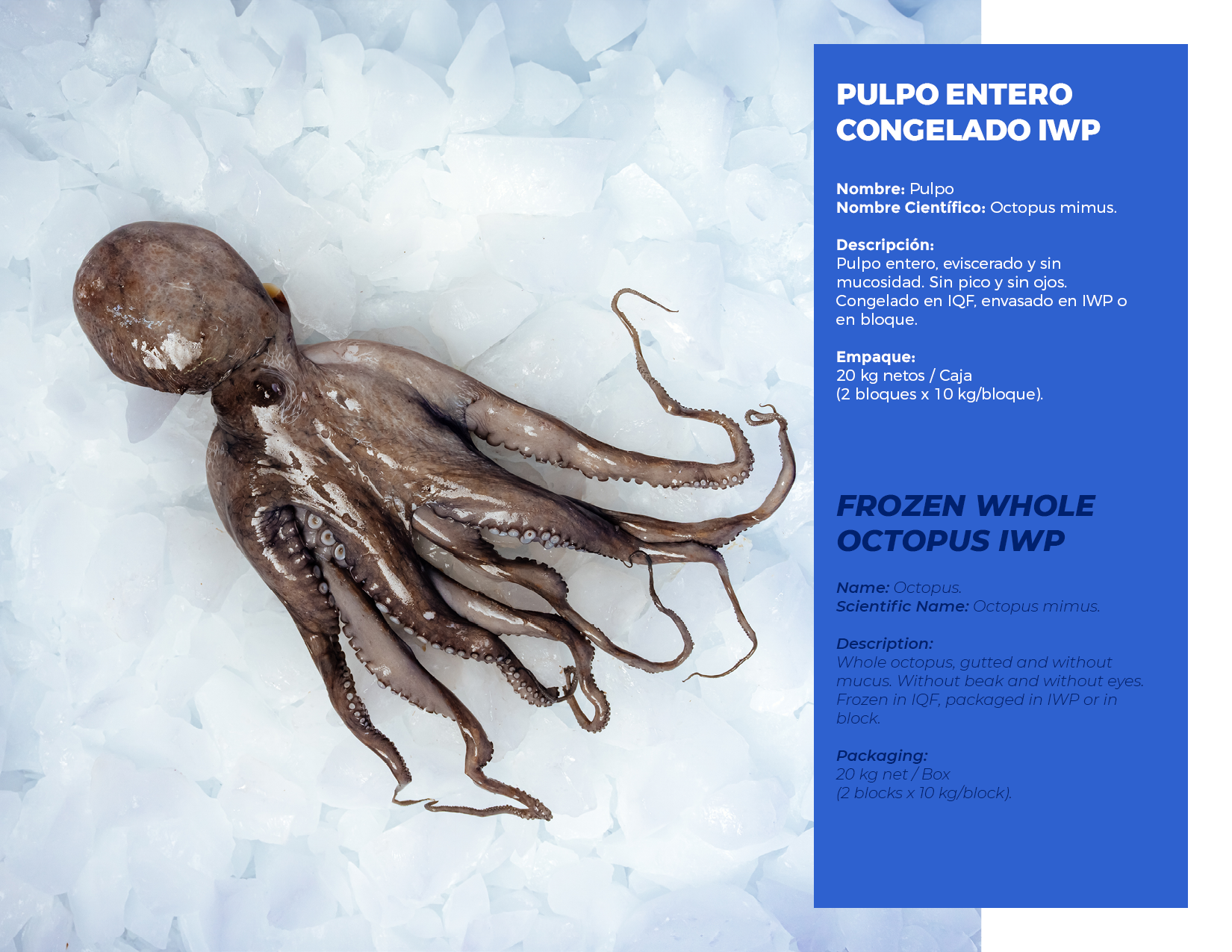 brochure 1